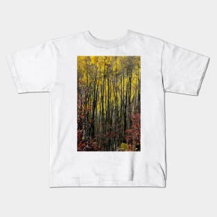 October Aspen Forest of Color Kids T-Shirt